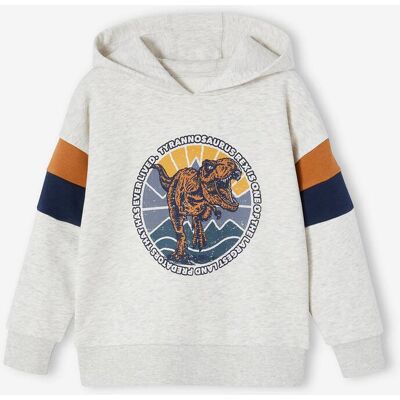 VERTBAUDET Sweat com capuz e motivo gráfico, mangas colorblock, para menino branco mesclado VERTBAUDET Sweat com capuz e motivo gráfico, mangas colorblock, para menino branco mesclado