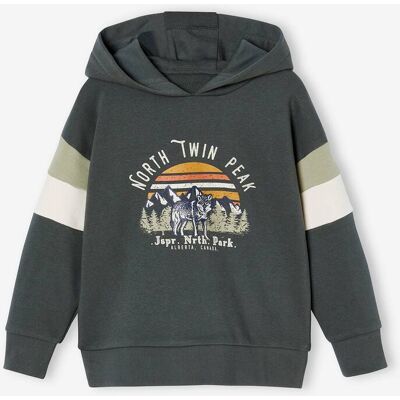 VERTBAUDET Sweat com capuz e motivo gráfico, mangas colorblock, para menino líquen VERTBAUDET Sweat com capuz e motivo gráfico, mangas colorblock, para menino líquen