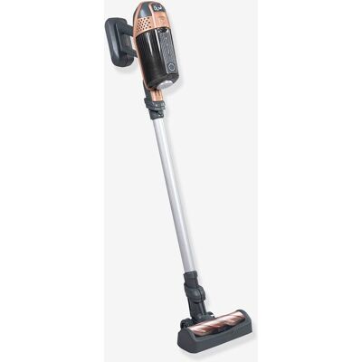 Rowenta X force flex vassoura aspirador SMOBY dourado Rowenta X force flex vassoura aspirador SMOBY dourado