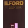 ILFORD Papel Multigrade Warmtone Glossy 17.4x24cm 100 Folhas