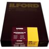 ILFORD Papel Multigrade Warmtone FB 18x24cm 100 Folhas 24K
