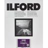 ILFORD Papel Multigrade V RC 20.3x25.4cm 100 Folhas 44M P�rola