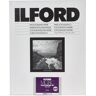 ILFORD Papel Multigrade V RC 40.6x50.8cm 10 Folhas 44M P�rola