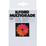 ILFORD Jogo de 12 Filtros Multigrade 15.2cm