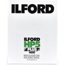 ILFORD HP5 + Plan Film 4x5 Inch 25 Filmes