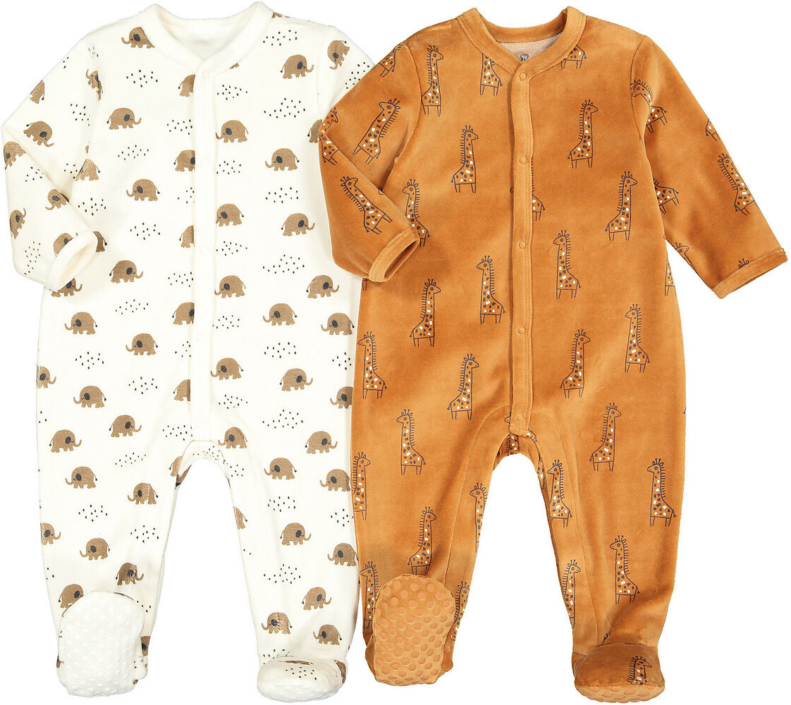 La Redoute Collections Lote de 2 pijamas, em veludo, prematuro-2 anos   Cru + camel