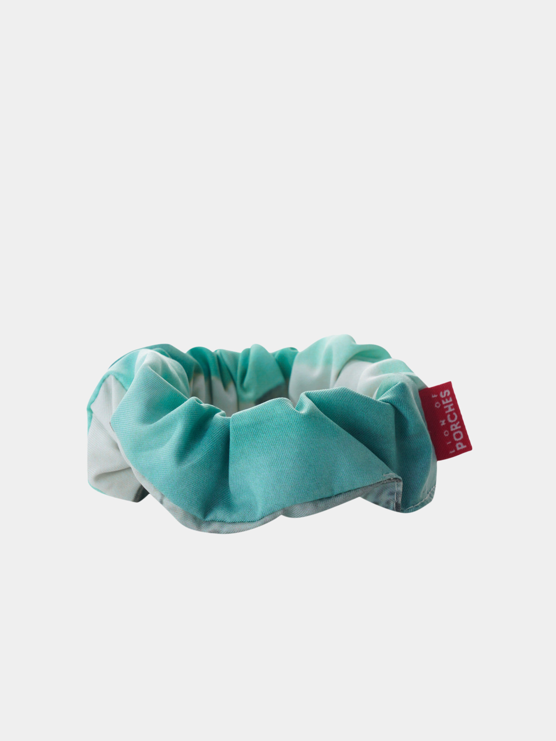 Lion of Porches Scrunchie Upcycling Verde
