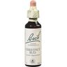 Flores de Bach Originales BROTO DE CASTANHEIRO 07 20ml