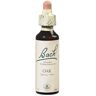 Flores de Bach Originales CARVALHO 22 20ml