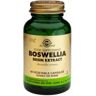 Solgar Boswelia Resin Extract 60 VCaps