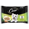 Cesar Pack Seleção Delicias Em Gelatina 4 Pacotes Para Cão 100g