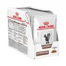 Royal Canin Veterinary Pouch Gastrointestinal 12 Unds 85g