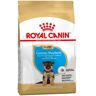 Royal Canin Ração Pastor Alemão Junior 12 Kg