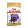 Royal Canin Ração Labrador Retriever Adulto Esterilizado 12 Kg