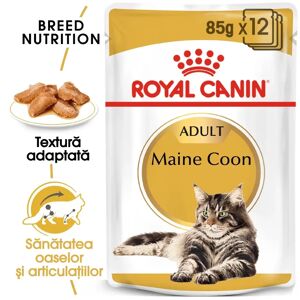 Royal Canin Maine Coon Adult hrana umeda pisica (in sos), 12x85 g
