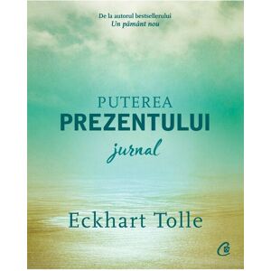 Curtea Veche Puterea prezentului. Jurnal