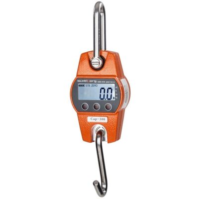 Steinberg Systems Cântar de macara - 300 kg / 0,1 kg - LCD - digital SBS-KW-300/100-O Steinberg Systems Cântar de macara - 300 kg / 0,1 kg - LCD - digital SBS-KW-300/100-O