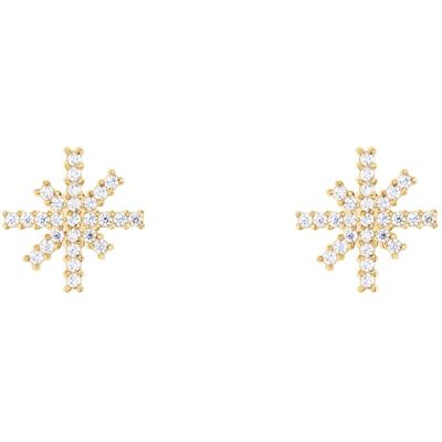 Daniel Wellington Cercei strălucitori cu pietre de zircon cubic Steluțe Mirelle DW00401611 Daniel Wellington Cercei strălucitori cu pietre de zircon cubic Steluțe Mirelle DW00401611