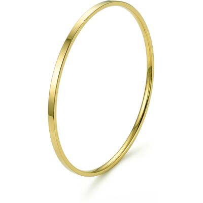 Emily Westwood Brățară solidă placată cu aur pentru femei EWB260839G Emily Westwood Brățară solidă placată cu aur pentru femei EWB260839G