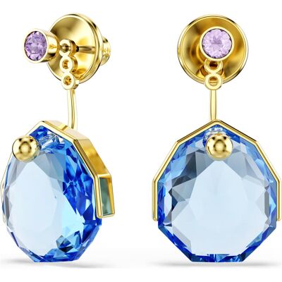 Swarovski Cercei uimitori 2în1 cu cristale Swarovski Gema 5737449 Swarovski Cercei uimitori 2în1 cu cristale Swarovski Gema 5737449
