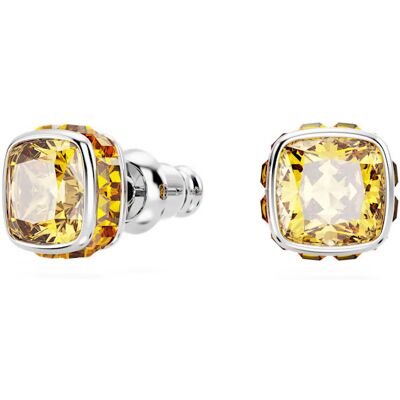 Swarovski Cercei strălucitori pentru femeile născute în noiembrie Birthstone 5661957 Swarovski Cercei strălucitori pentru femeile născute în noiembrie Birthstone 5661957