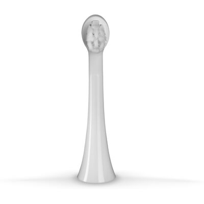 Concept Capete de schimb pentru periuțe de dinți pentru copii ZK6010, ZK6020 Mic ZK0061 2 buc Concept Capete de schimb pentru periuțe de dinți pentru copii ZK6010, ZK6020 Mic ZK0061 2 buc