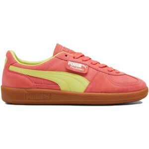 Puma Palermo Salmon Bărbați - Adidași Puma - Portocaliu - 396463-22-7 - Size: 7 Portocaliu 7 male Puma Palermo Salmon Bărbați - Adidași Puma - Portocaliu - 396463-22-7 - Size: 7 Portocaliu 7 male