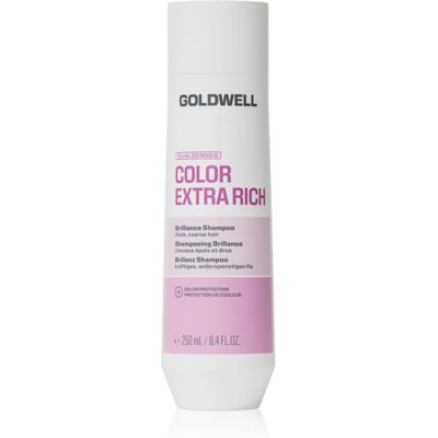 Goldwell Dualsenses Color Extra Rich Brilliance Shampoo șampon pentru o culoare stralucitoare 250 ml Goldwell Dualsenses Color Extra Rich Brilliance Shampoo șampon pentru o culoare stralucitoare 250 ml