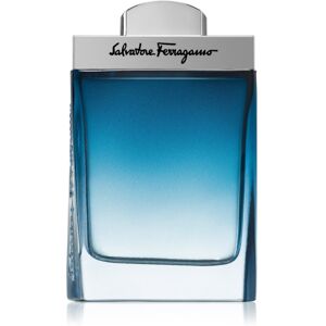 Ferragamo Subtil Pour Homme Eau de Toilette pentru bărbați 100 ml Ferragamo Subtil Pour Homme Eau de Toilette pentru bărbați 100 ml