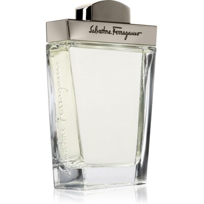 Ferragamo Pour Homme Eau de Toilette pentru bărbați 100 ml Ferragamo Pour Homme Eau de Toilette pentru bărbați 100 ml