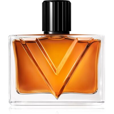 Valentino Vendetta Uomo Eau de Parfum pentru bărbați 90 ml Valentino Vendetta Uomo Eau de Parfum pentru bărbați 90 ml