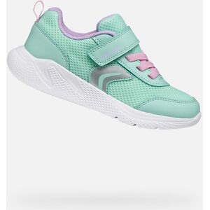 Teniși turcoaz pentru fete Geox Sprintye alb 29 unisex Teniși turcoaz pentru fete Geox Sprintye alb 29 unisex