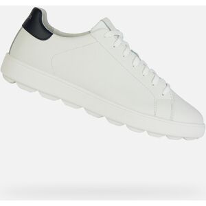 White men's sneakers Geox Spherica ECUB-1 - Men gri 44 male White men's sneakers Geox Spherica ECUB-1 - Men gri 44 male
