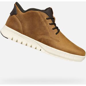 Light Brown Men's Ankle Boots Geox Flextride Plus - Mens negru 40 male Light Brown Men's Ankle Boots Geox Flextride Plus - Mens negru 40 male