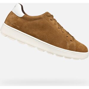 Light brown men's sneakers Geox Spherica ECUB-1 - Men maro 42 male Light brown men's sneakers Geox Spherica ECUB-1 - Men maro 42 male