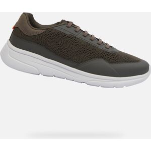 Khaki men's sneakers Geox Klaiver - Men's maro 42 male Khaki men's sneakers Geox Klaiver - Men's maro 42 male
