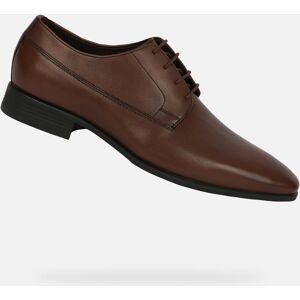 Pantofi sport maro pentru bărbați Geox Omo High Life negru 43-46 male Pantofi sport maro pentru bărbați Geox Omo High Life negru 43-46 male