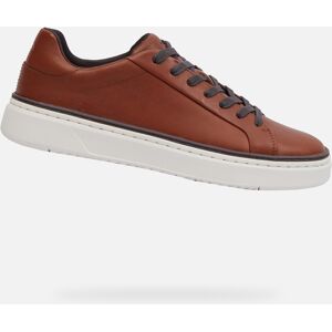 Brown men's sneakers Geox Zackerty - Men's rosu inchis 42 male Brown men's sneakers Geox Zackerty - Men's rosu inchis 42 male