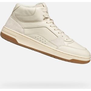 Cream men's sneakers Geox Sedral Court - Men's maro 43-46 male Cream men's sneakers Geox Sedral Court - Men's maro 43-46 male