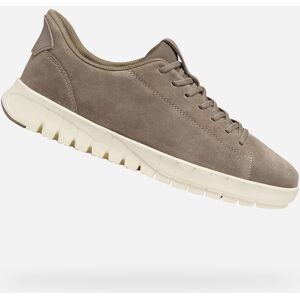 Beige men's sneakers Geox Flextride Plus - Men's kaki 43-46 male Beige men's sneakers Geox Flextride Plus - Men's kaki 43-46 male