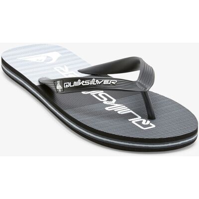 Men's flip-flops Quiksilver MOLOKAI STRIPE gri 41 male Men's flip-flops Quiksilver MOLOKAI STRIPE gri 41 male