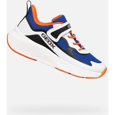 Teniși pentru băieți Geox Pro-ran albaștri albastru 25 unisex Teniși pentru băieți Geox Pro-ran albaștri albastru 25 unisex