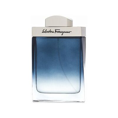 Salvatore Ferragamo Subtil Pour Homme eau de Toilette pentru barbati 100 ml Salvatore Ferragamo Subtil Pour Homme eau de Toilette pentru barbati 100 ml