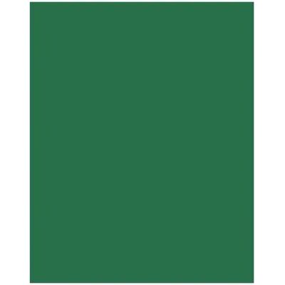 4001868063585 FOLIA Color hârtie A3 130g 50 lap pin verde 4001868063585 FOLIA Color hârtie A3 130g 50 lap pin verde