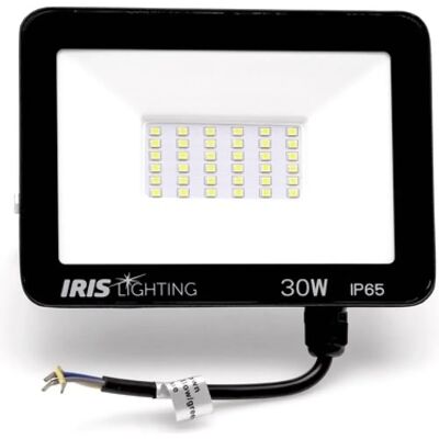 5999004621289 IRIS ILZPLUS30W4000KREF 30W 2400lm LED reflector 5999004621289 IRIS ILZPLUS30W4000KREF 30W 2400lm LED reflector