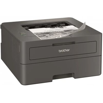 Brother HL-L2402D Brother HL-L2402D