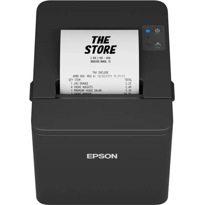 Epson TM-T20IV(101) Epson TM-T20IV(101)