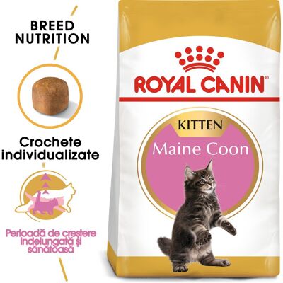 Royal Canin Maine Coon Kitten hrana uscata pisica junior, 2 kg Royal Canin Maine Coon Kitten hrana uscata pisica junior, 2 kg