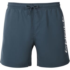 Costume de baie pentru bărbați O'neill verde (2800204-15060) XL Costume de baie pentru bărbați O'neill verde (2800204-15060) XL