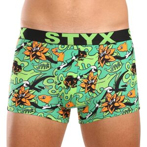 Styx Bărbați boxer pantaloni scurți artă sport cauciuc supradimensionat tropic (R1557) 4XL Styx Bărbați boxer pantaloni scurți artă sport cauciuc supradimensionat tropic (R1557) 4XL